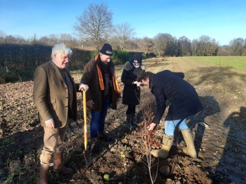 4 mensen planten een boom