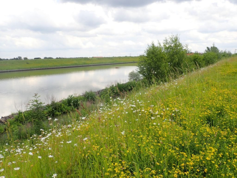 Berm langs kanaal